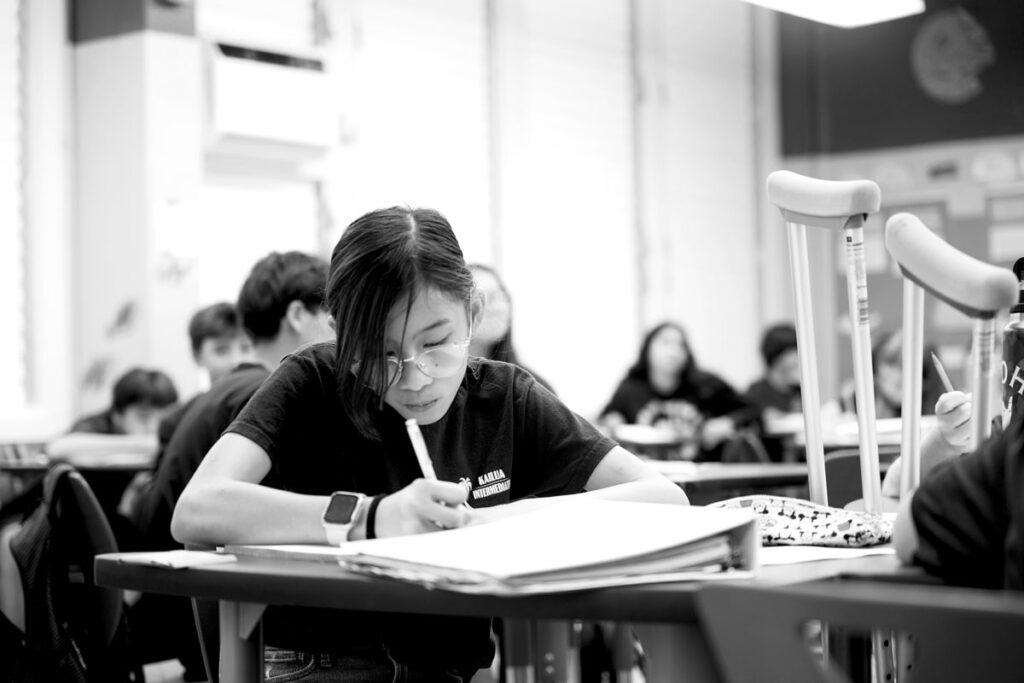 Adaptiv öyrənmə sisteminin təhsildə rolunu göstərən vizual